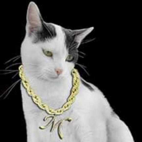 Meet your Posher, James - Picture 1 of 1